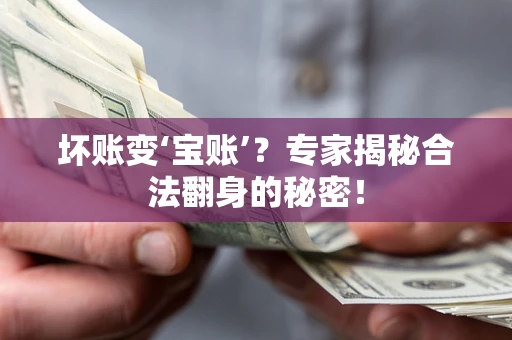北京坏账变‘宝账’？专家揭秘合法翻身的秘密！