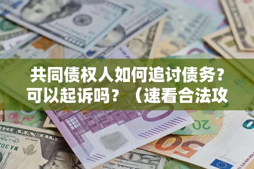 北京共同债权人如何追讨债务？可以起诉吗？（速看合法攻略）